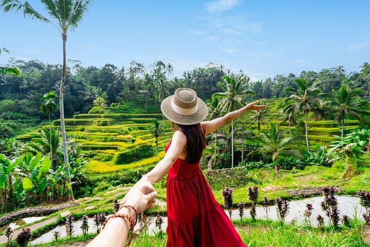 Ubud Full-Day Tour: Swing, Tegalalang Rice Terraces, Monkey Forest & Tegenungan Waterfall