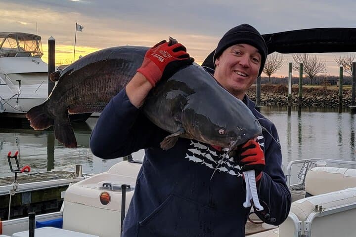 Potomac Blue Catfish Fishing Charter — Guided Fishing Trip in Washington, DC photo 5