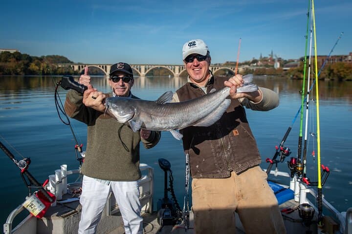 Potomac Blue Catfish Fishing Charter — Guided Fishing Trip in Washington, DC photo 6