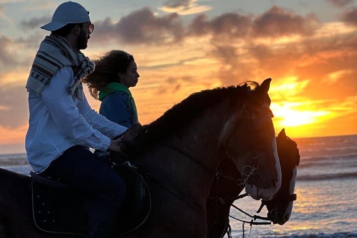 Sunset Horseback Ride on Essaouira Beach — 2-Hour Guided Coastal Experience
