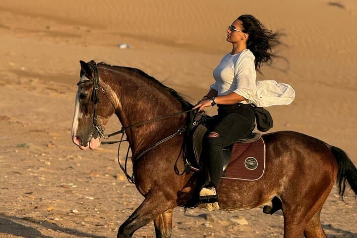 Sunset Horseback Ride on Essaouira Beach — 2-Hour Guided Coastal Experience photo 2