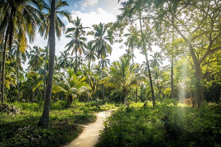 Bahía Concha and Tayrona Park Private Tour — Day Trip from Santa Marta photo 2