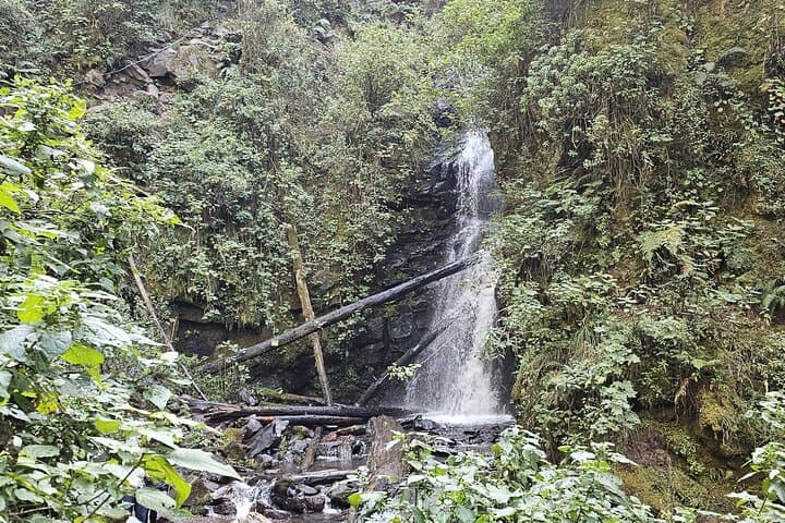 Private Day Hike to Los Diamantes Waterfall from Mexico City photo 4