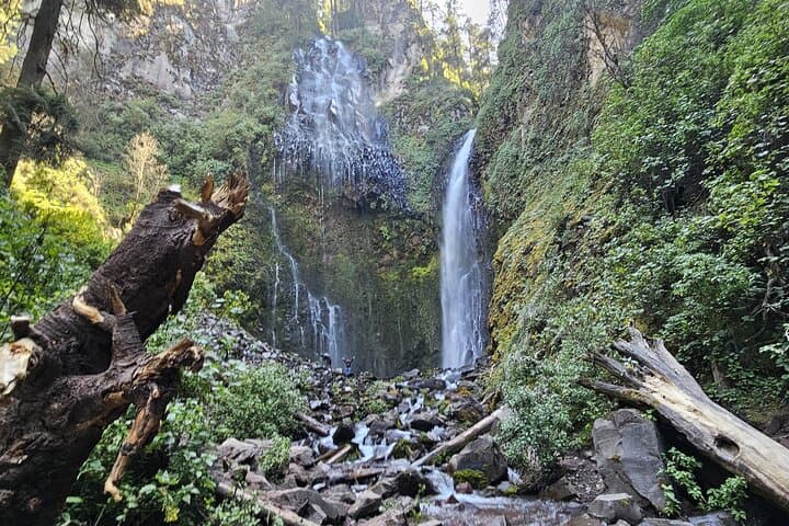 Private Day Hike to Los Diamantes Waterfall from Mexico City