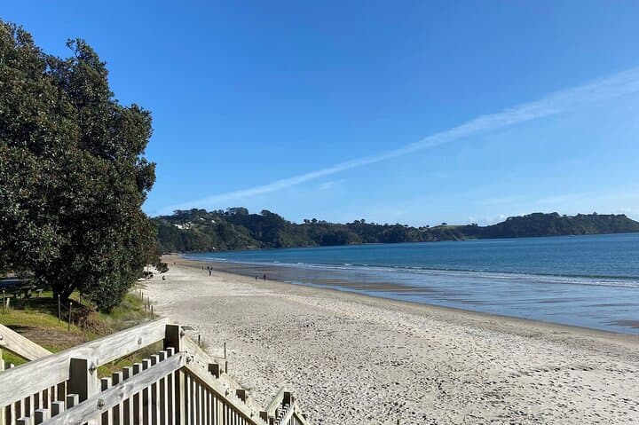 Waiheke Island Half-Day Scenic Wine Tour and Lunch — Mudbrick, Stonyridge & Onetangi photo 5