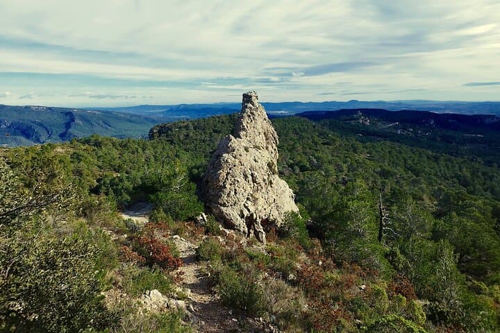 Forest Bathing in the Prades Mountains: Guided Shinrin‑yoku near Mont‑ral photo 4