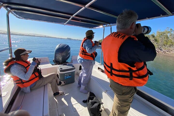 La Paz Sunset Wildlife Cruise: Bay Evening Boat Tour with Local Guides photo 4