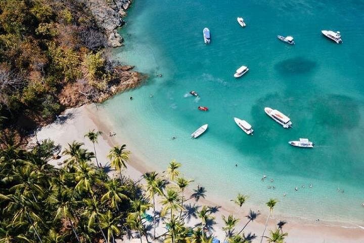Full-Day Catamaran to Isla Tortuga: Beaches, Snorkeling & Wildlife from San José photo 2