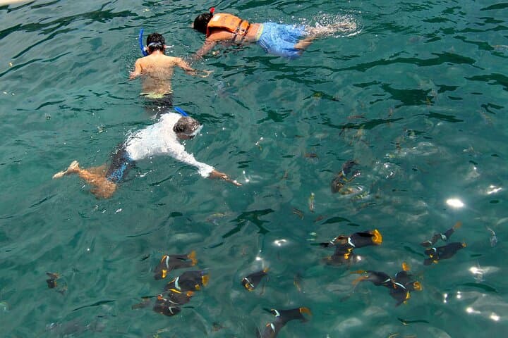 Isla de la Plata Wildlife Trails and Snorkeling — Machalilla National Park Day Trip photo 3