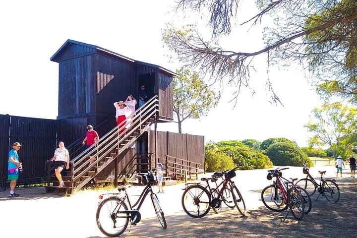 Ria Formosa 3-Hour Guided Bike Tour from Quinta do Lago photo 3