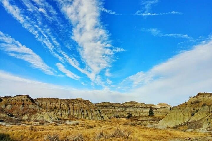 Private Day Tour from Calgary to Royal Tyrrell Museum & Drumheller Badlands