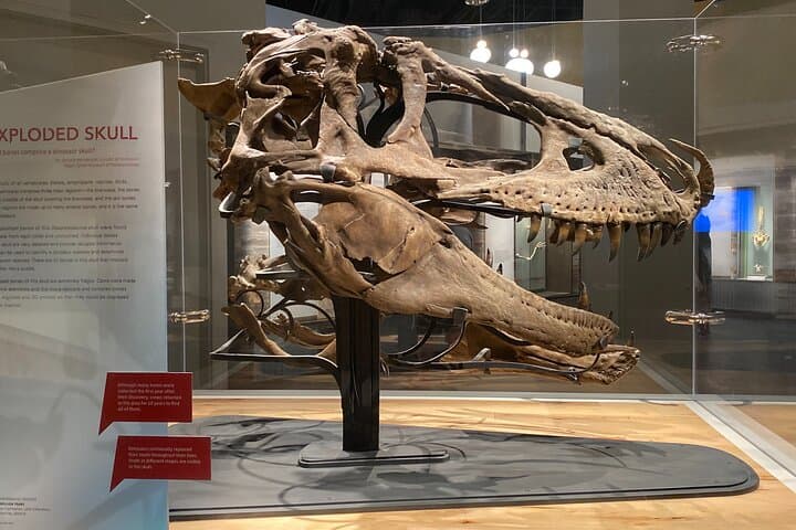 Private Day Tour from Calgary to Royal Tyrrell Museum & Drumheller Badlands photo 3