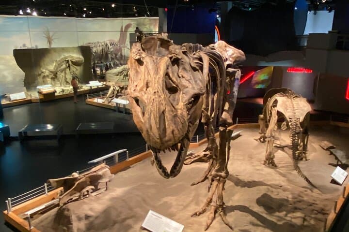 Private Day Tour from Calgary to Royal Tyrrell Museum & Drumheller Badlands photo 2