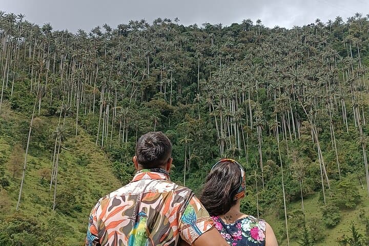 Toche & Machín Volcano: 2-Day Private Jeep and Horseback Tour from Salento photo 3