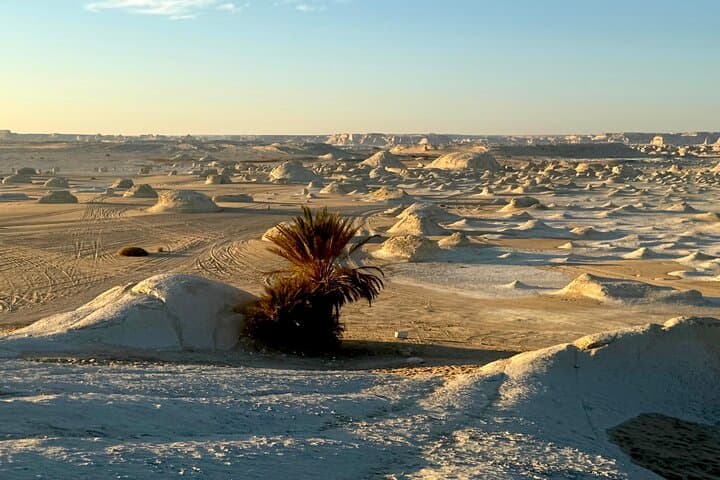 White Desert Ultimate Safari: 2-Day Camping & Sandboarding from Farafra photo 6