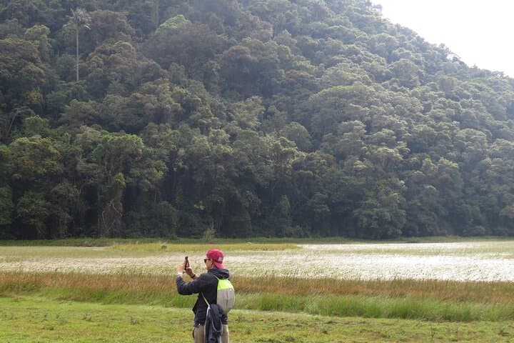 Toche & Machín Volcano: 2-Day Private Jeep and Horseback Tour from Salento photo 4