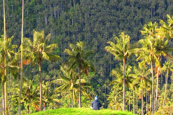 Toche & Machín Volcano: 2-Day Private Jeep and Horseback Tour from Salento photo 5