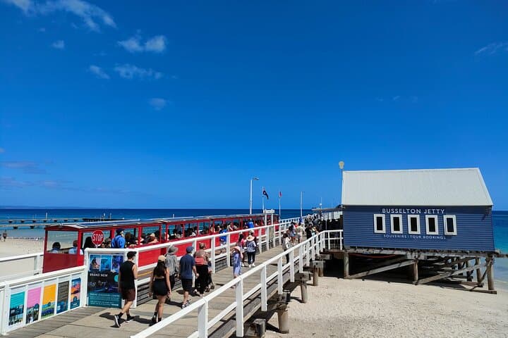 Margaret River Day Tour: Busselton Jetty, Boranup Forest & Voyager Estate photo 2
