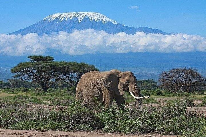3-Day Amboseli Safari: Elephants, Kilimanjaro Views & Maasai Culture photo 1