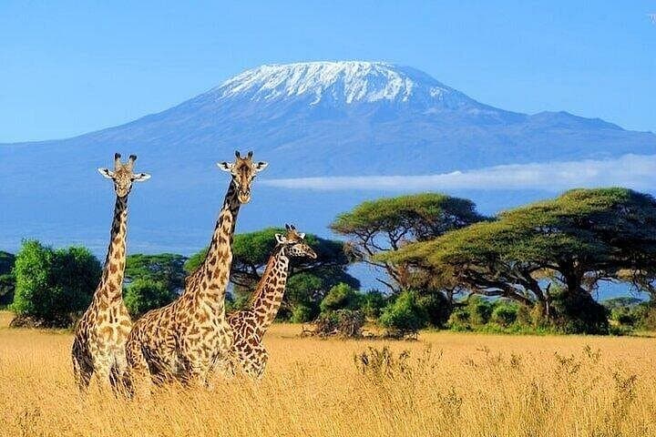 3-Day Amboseli Safari: Elephants, Kilimanjaro Views & Maasai Culture photo 3