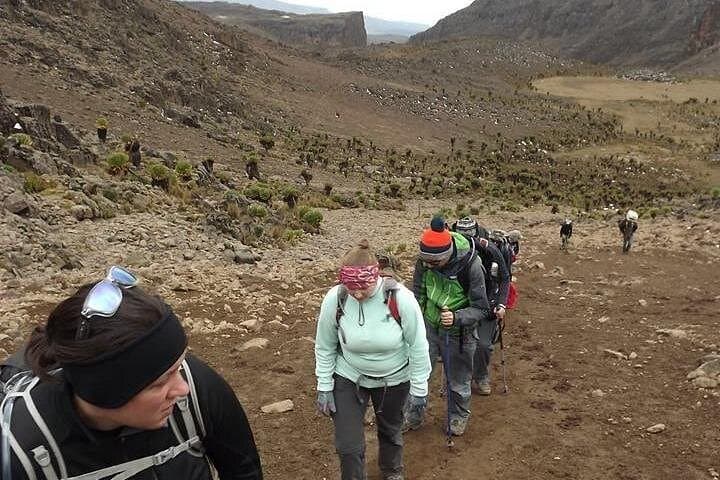 5-Day Mount Kenya Sirimon Route: Summit Point Lenana via Judmaier & Shipton Camps photo 3
