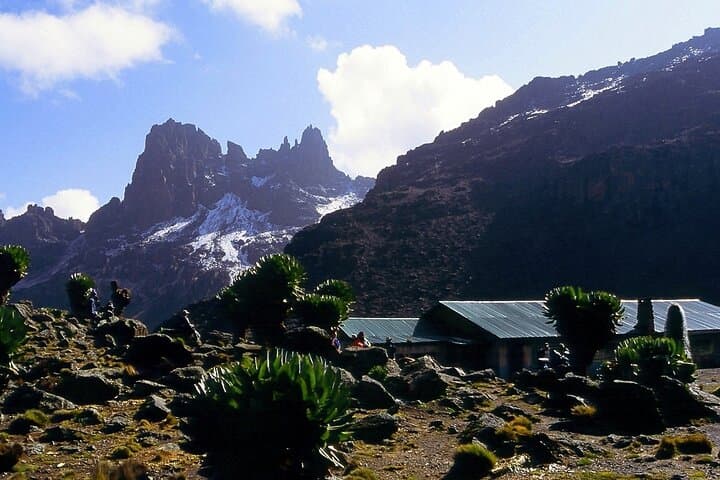 4-Day Mount Kenya Climb via Naro Moru: Point Lenana in Four Days photo 3