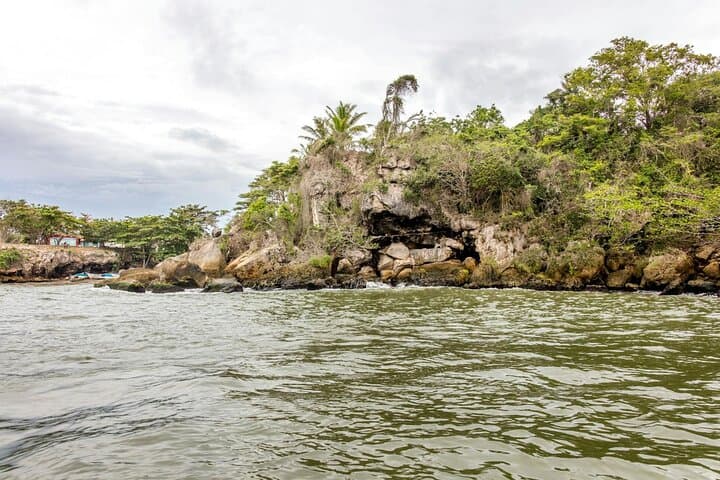 Full-Day Higuey and River Yuma Tour from Punta Cana — Market, Farm, River Boat & Batey Visit photo 5