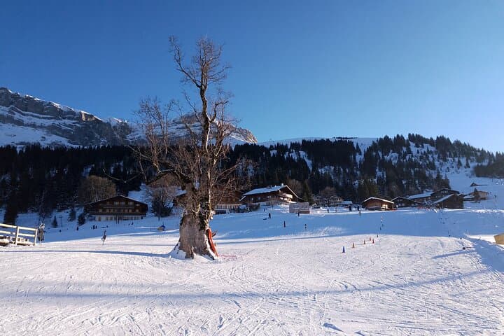 Private Beginner Ski Day to Axalp from Interlaken — All-Inclusive Lesson & Gear photo 4
