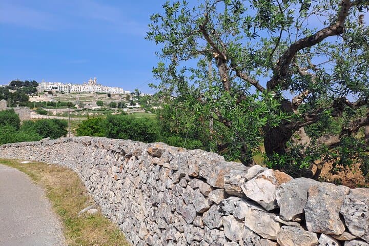E‑Bike Loop Through Itria Valley: Cisternino to Locorotondo