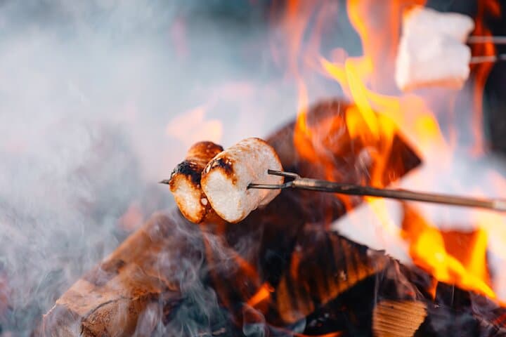 Sognsvann Lake Walk and Campfire: Private Two-Hour Forest Experience from Oslo