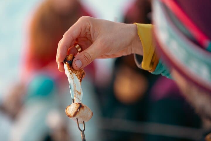 Sognsvann Lake Walk and Campfire: Private Two-Hour Forest Experience from Oslo photo 4