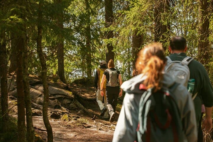 Holmenkollen Private Walk: Metro-to-Ski-Jump Forest Hike in Oslo photo 3