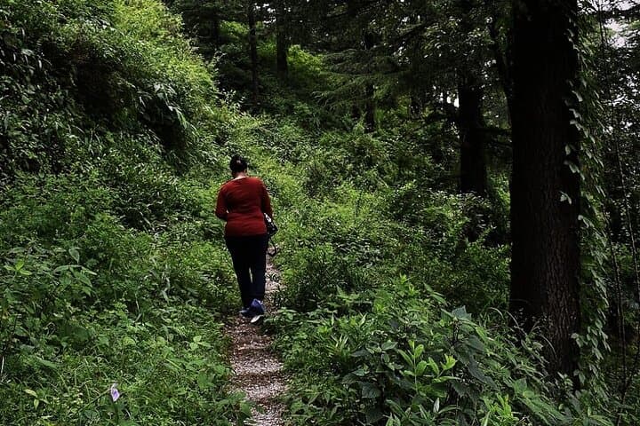 School Boy Walk Mussoorie: 2-Hour Jungle Trail to Doon Valley Views photo 3