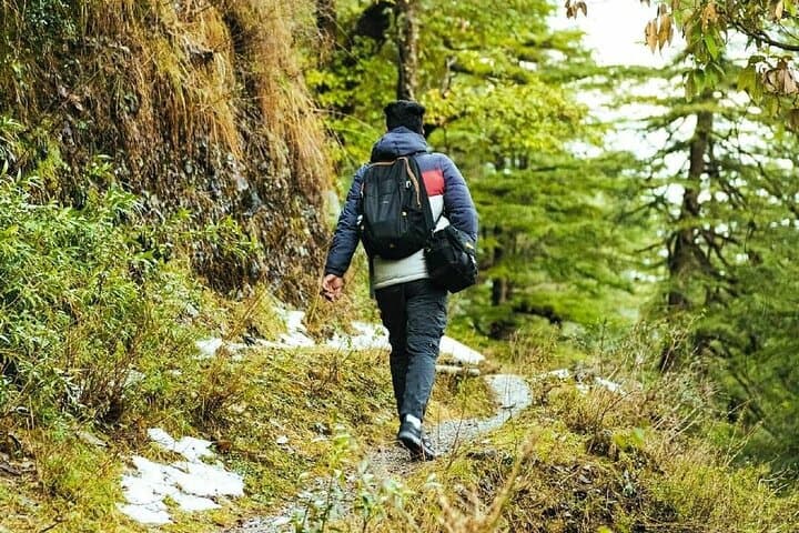 School Boy Walk Mussoorie: 2-Hour Jungle Trail to Doon Valley Views photo 4