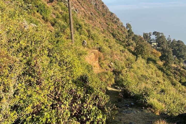 School Boy Walk Mussoorie: 2-Hour Jungle Trail to Doon Valley Views photo 6