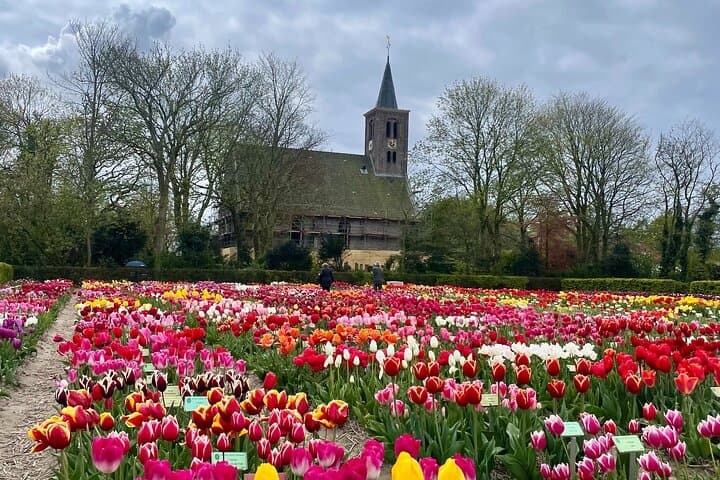 Private Tulip Museum, Windmill & Cheese Tasting Tour from Amsterdam