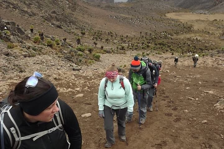 4-Day Mount Kenya Climb via Naro Moru: Point Lenana in Four Days photo 2