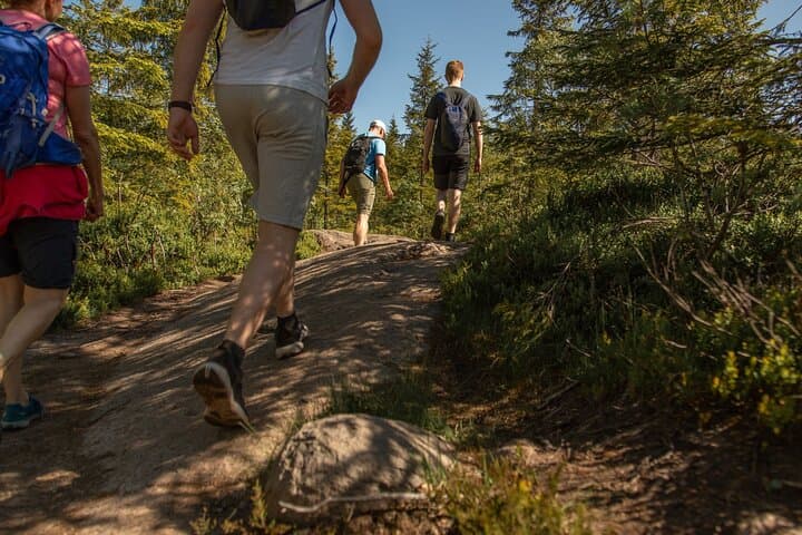 Maridalsvannet Private Great Lake Hike from Oslo photo 2