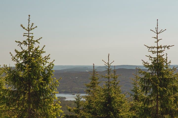 Maridalsvannet Private Great Lake Hike from Oslo photo 4