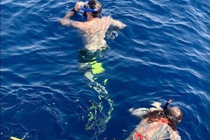 Snorkelling the Zenobia Wreck: Larnaca's Underwater Time Capsule photo 3