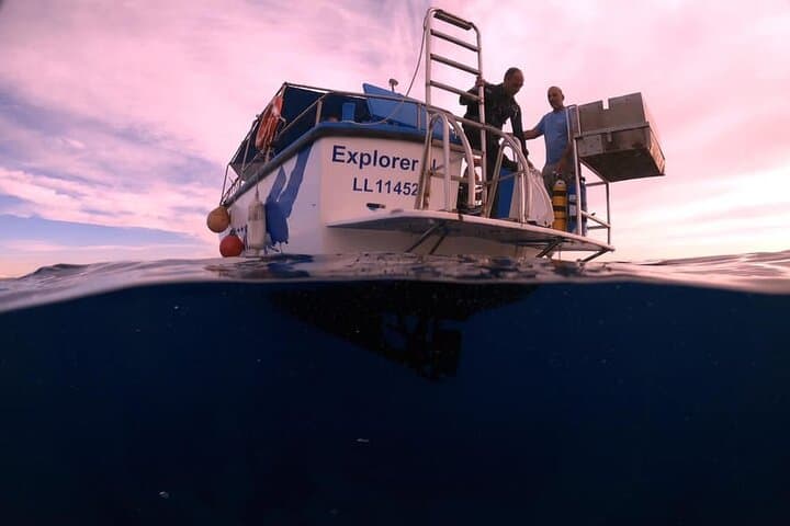 Snorkelling the Zenobia Wreck: Larnaca's Underwater Time Capsule photo 2