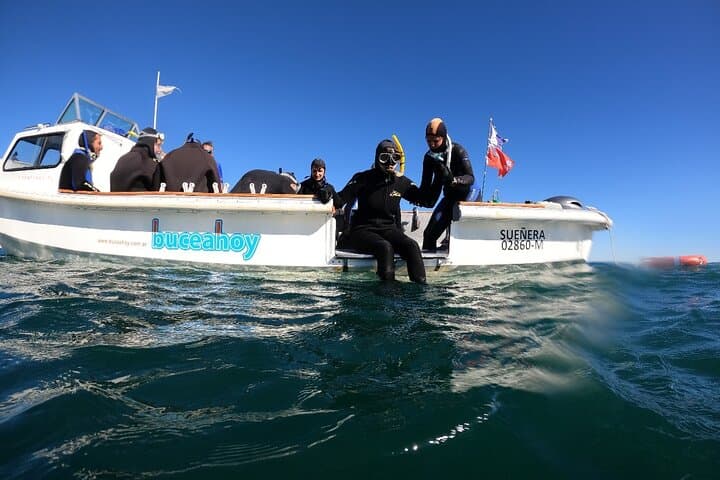 Snorkel with Sea Lions at Punta Loma — Puerto Madryn Adventure photo 3