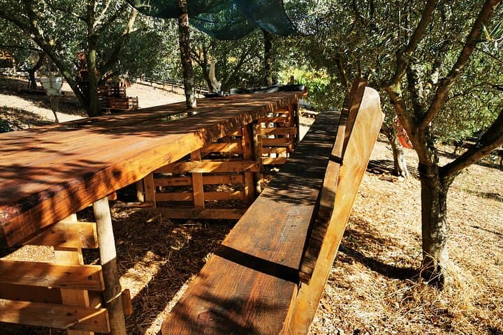 Douro Vineyard Fire-Cooked Feast: Eat Like a Duriense photo 3
