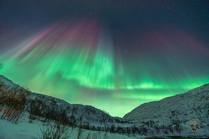Tromsø Northern Lights Chase: Small-Group Aurora Photography Tour photo 3
