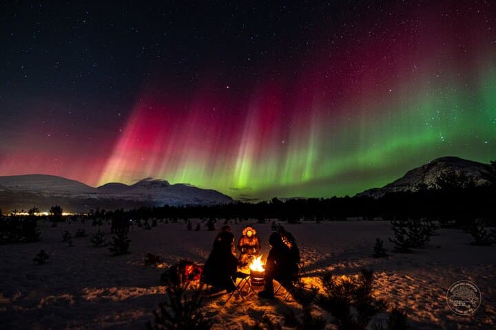 Chasing the Aurora: Small-Group 4x4 Van Northern Lights Adventure from Tromsø photo 2