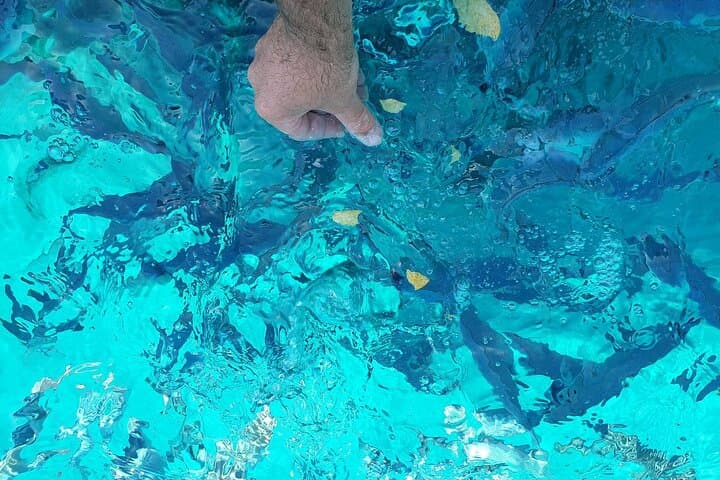 Explore Hvar's Hidden Gems: A Private Island Adventure photo 5