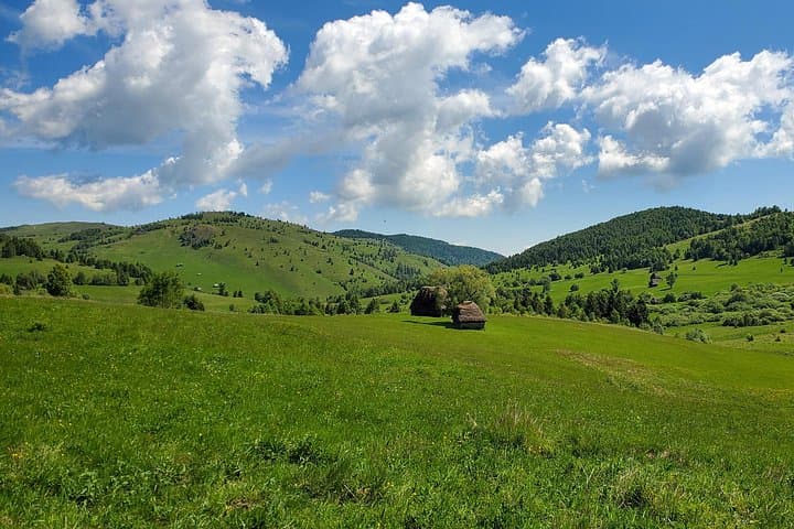 High Plains of Sesul Craiului: Scarita-Belioara Day Tour from Cluj-Napoca