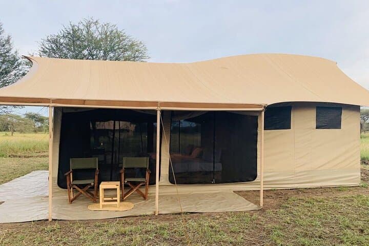 4-Day Midrange Safari: Tarangire, Serengeti & Ngorongoro Crater photo 3