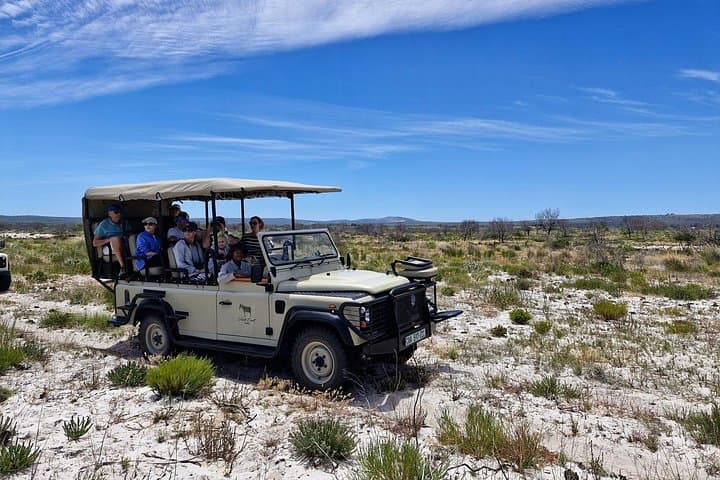 Full-Day Yzerfontein Safari & Khwa Ttu San Heritage Experience from Cape Town photo 3