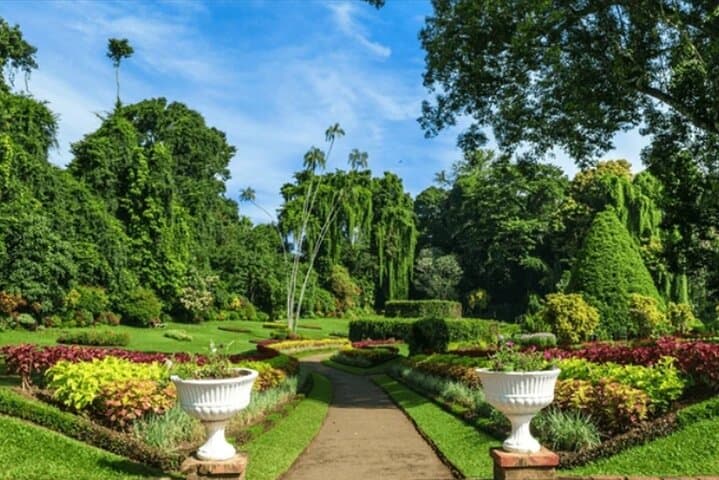 Kandy & Ceylon Tea Plantations Day Trip from Colombo — Temple, Gardens & Tea Tasting photo 4